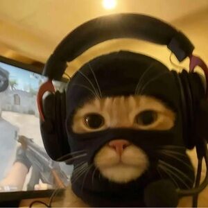 New UGG Tazz Tasman Sandals Women Slipper